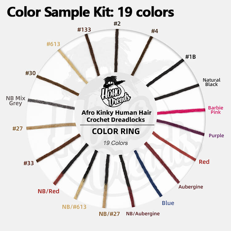 Color sample kit for loc extensions