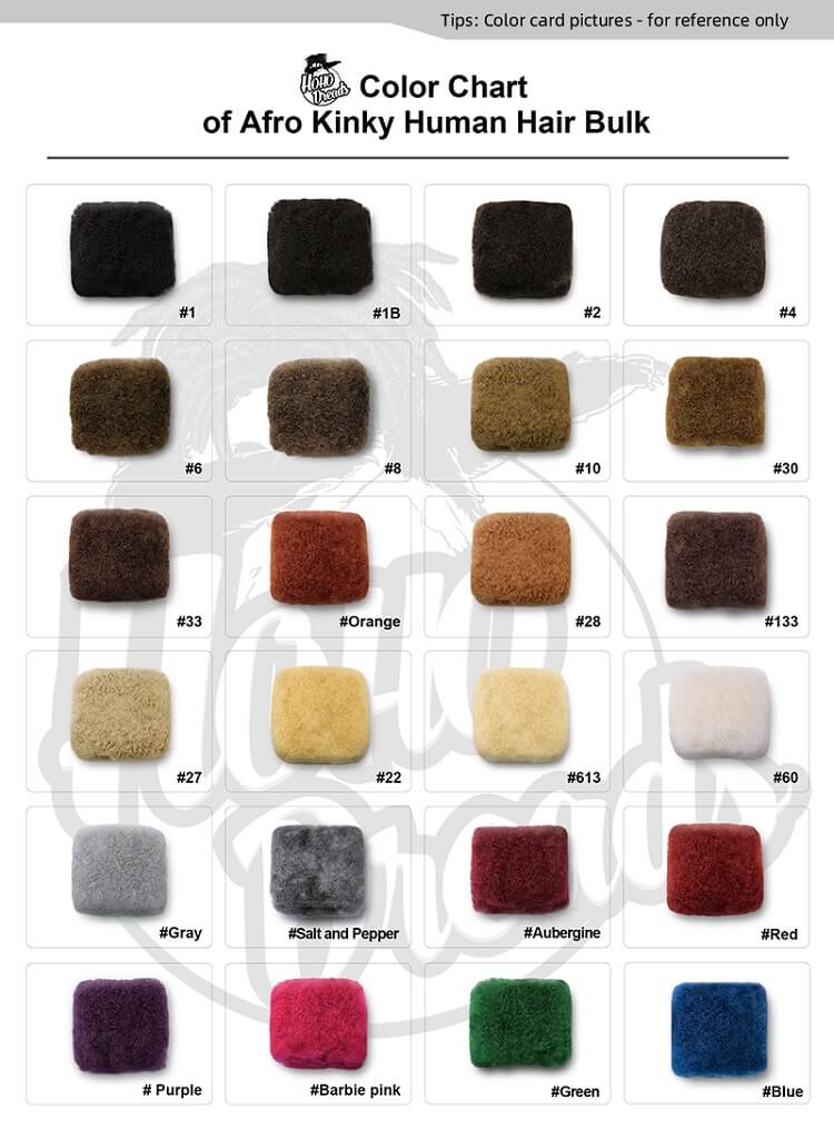 Hohodreads Affordable Afro Kinky Bulk Human Hair color chart