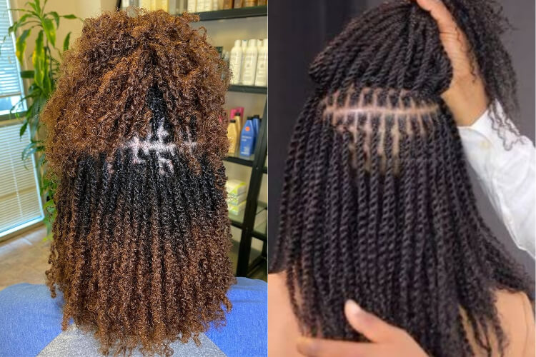 afro kinky hair brown vs black difference