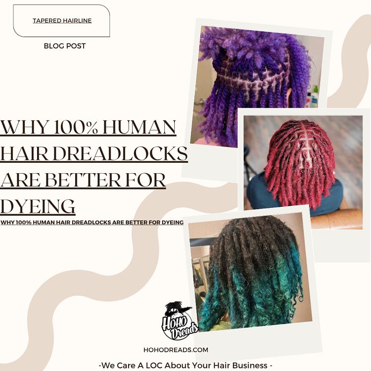 Why 100% Human Hair Dreadlocks Are Better for Dyeing