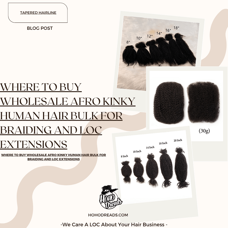 Where to Buy Wholesale Afro Kinky Human Hair Bulk for Braiding and Loc Extensions