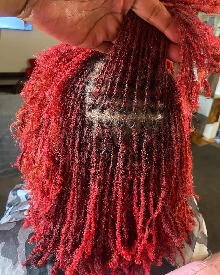 Professional Micro Loc Hairstyle